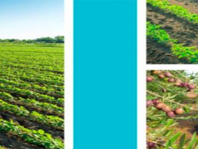 Interreg Incuba presents 10 start-ups in agrofood sector